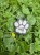 received_1171796630925942.jpeg